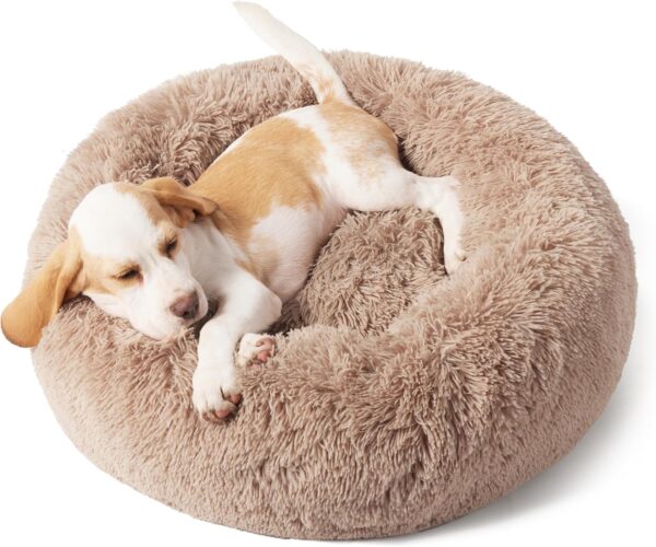 Limited Time Deal 31%OFF! Bedsure Calming Dog Bed for Small Dogs