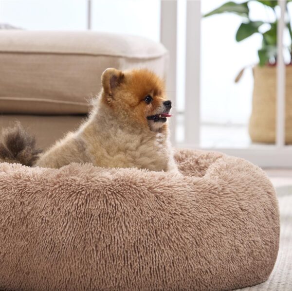 Limited Time Deal 31%OFF! Bedsure Calming Dog Bed for Small Dogs - Image 8