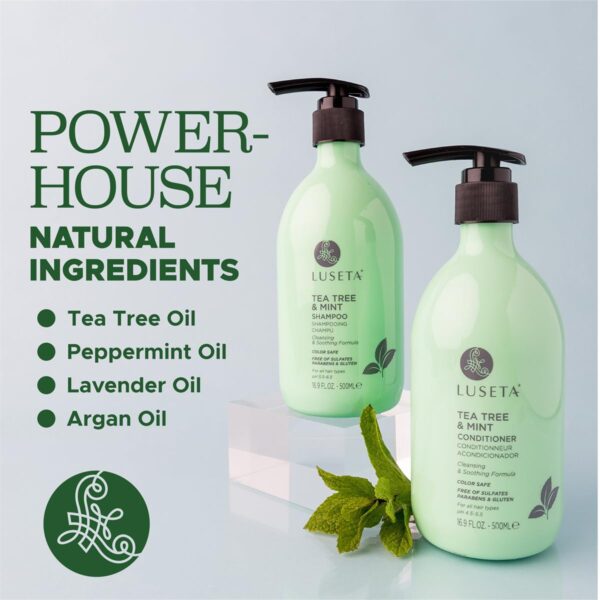 Limited Time Deal 47%OFF! Luseta Tea Tree Mint Shampoo and Conditioner for Hair - Image 5