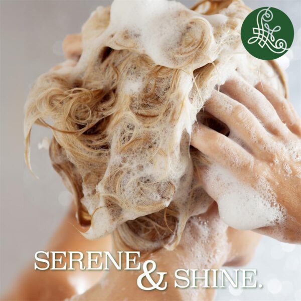 Limited Time Deal 47%OFF! Luseta Tea Tree Mint Shampoo and Conditioner for Hair - Image 7