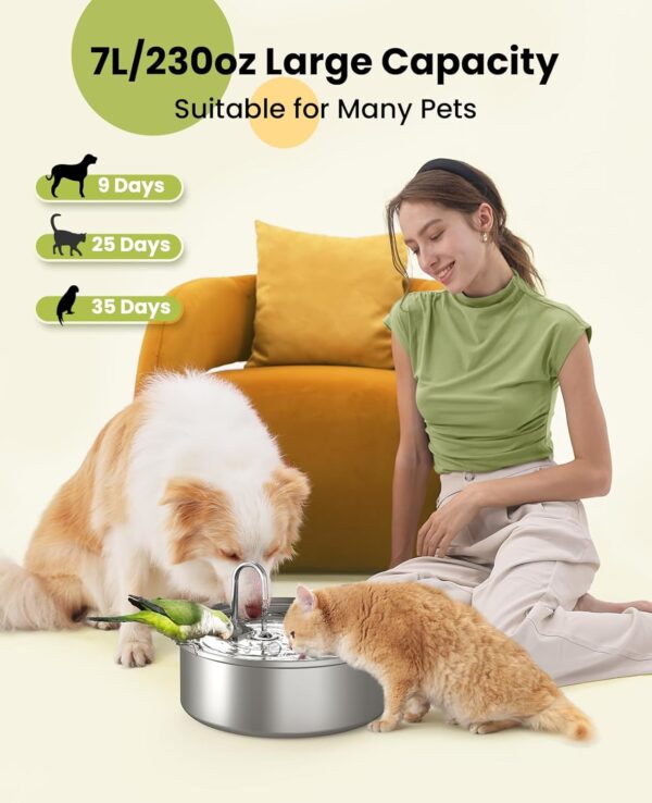 Limited Time Deal 39%OFF! oneisall Dog Water Fountain for Large Dogs - Image 3