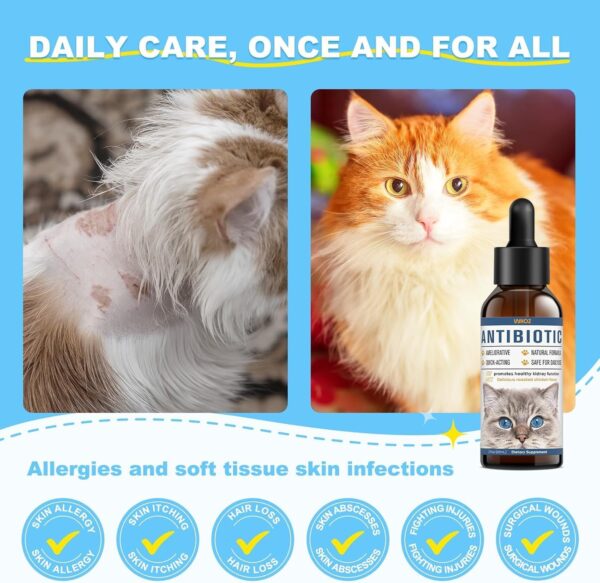 Limited Time Deal 47%OFF! Antibiotics for Cats - Natural Cat Antibiotics - Image 3