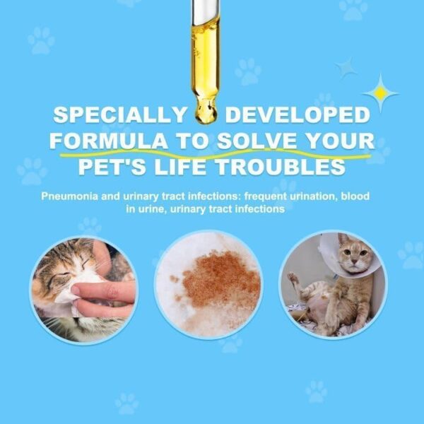 Limited Time Deal 47%OFF! Antibiotics for Cats - Natural Cat Antibiotics - Image 4