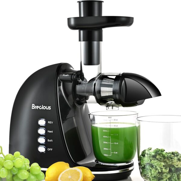 Limited Time Deal 40%OFF! Slow Masticating Juicer,Brecious Cold Press Juicers