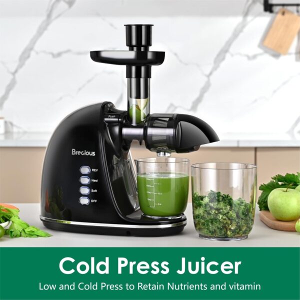 Limited Time Deal 40%OFF! Slow Masticating Juicer,Brecious Cold Press Juicers - Image 3