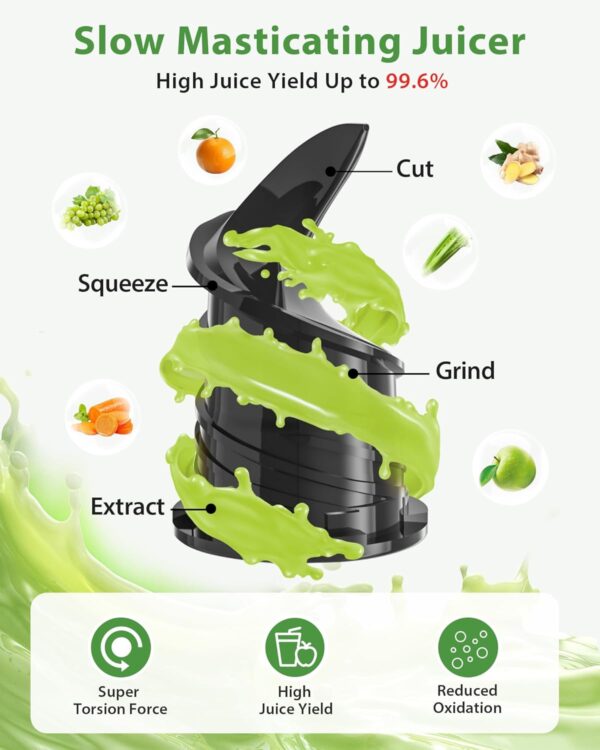 Limited Time Deal 53%OFF! Juicer Machines, ECOSELF Cold Press Juicer