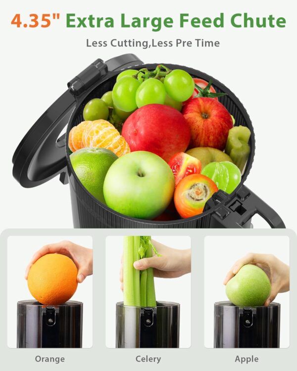 Limited Time Deal 53%OFF! Juicer Machines, ECOSELF Cold Press Juicer - Image 4