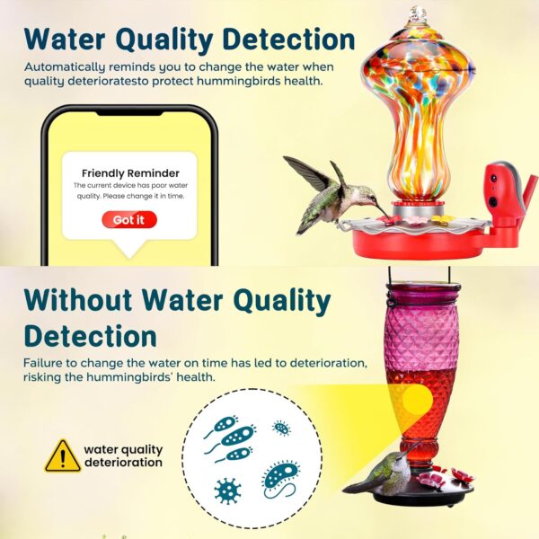 Limited Time Deal 48%OFF!  Glass Smart Hummingbird Feeder with 2K HD Camera - Image 5