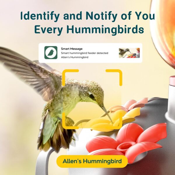 Limited Time Deal 48%OFF!  Glass Smart Hummingbird Feeder with 2K HD Camera - Image 6