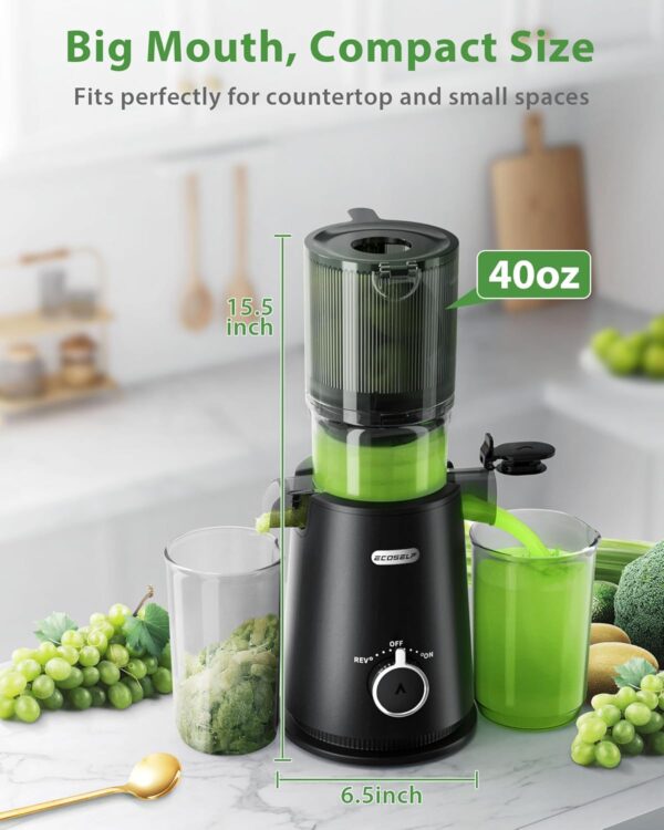Limited Time Deal 53%OFF! Juicer Machines, ECOSELF Cold Press Juicer - Image 6