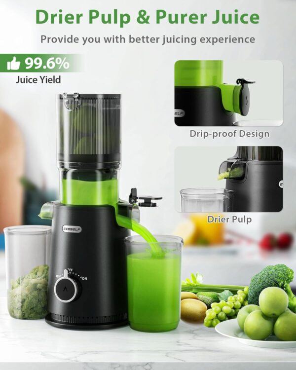 Limited Time Deal 53%OFF! Juicer Machines, ECOSELF Cold Press Juicer - Image 7