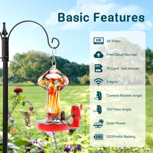 Limited Time Deal 48%OFF!  Glass Smart Hummingbird Feeder with 2K HD Camera - Image 10